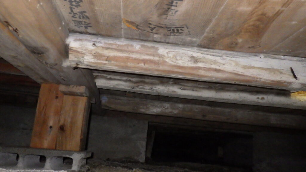 尼崎市基礎コンクリートの劣化と湿気の影響