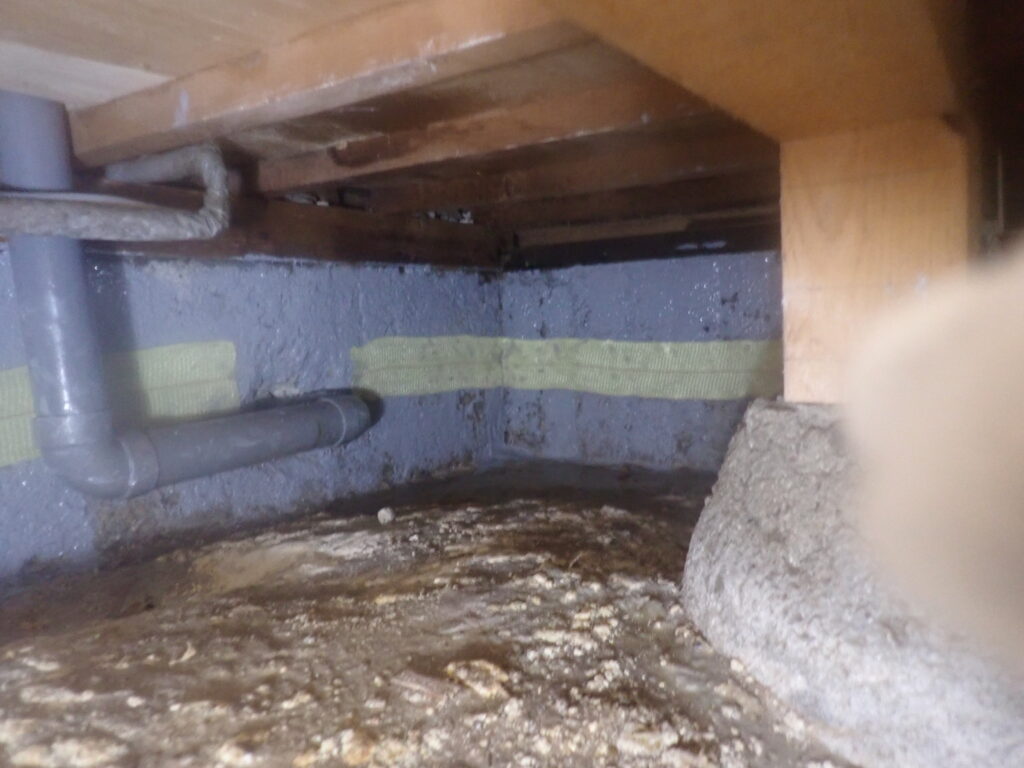 プライマー アラミド