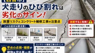 【西宮市】犬走りのひび割れは劣化のサイン！放置リスクとコンクリート補修工事の注意点